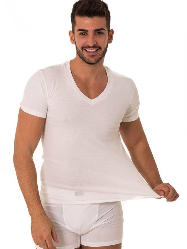 Men's T-shirt with short sleeves and 'V' economical package of 2 pieces