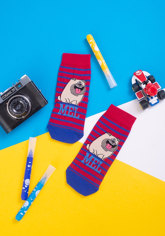 Childrens socks with animals