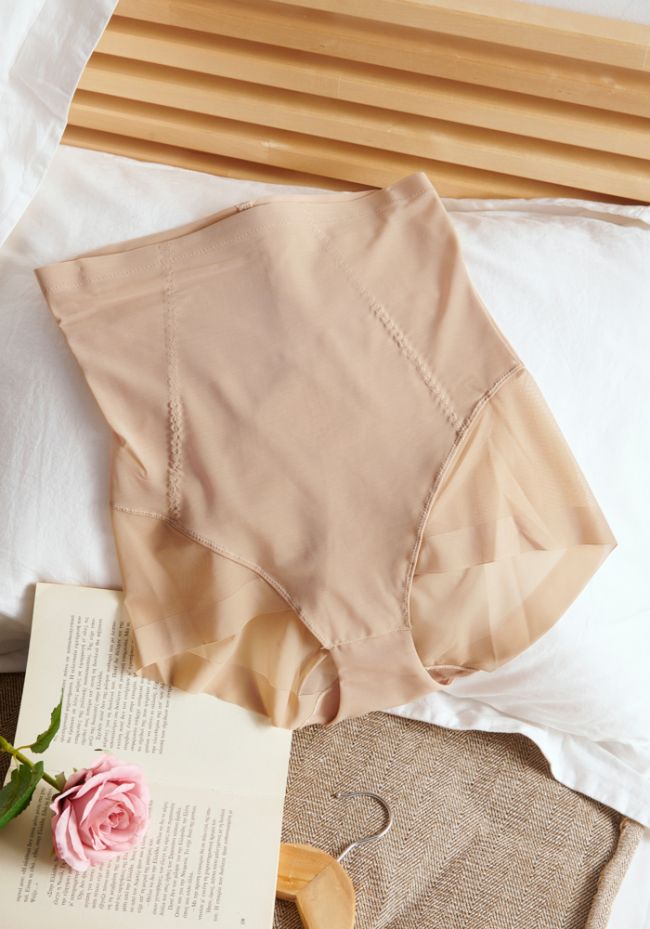 Luna Sculpt-High Waist Sheer Brief