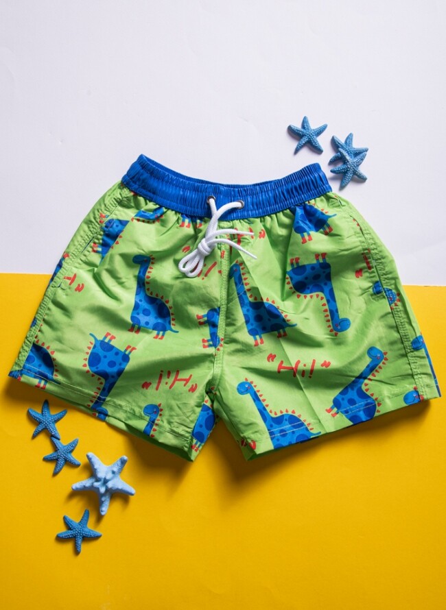 Swimsuit for boys with dinosaurs