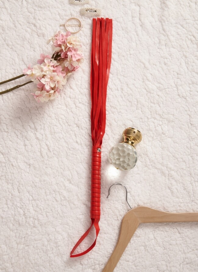 Whip with leather handle