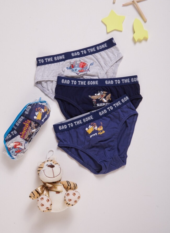 Minerva children's briefs economic package of 3 pieces